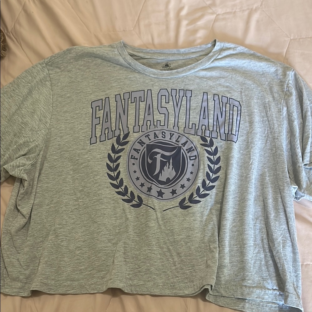Fantasyland Disneyland Gray Crop Top